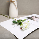 Artificial & Decorative Flowers