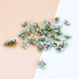 50PCS 2CM Multicolor Silk Daisy Head Flowers