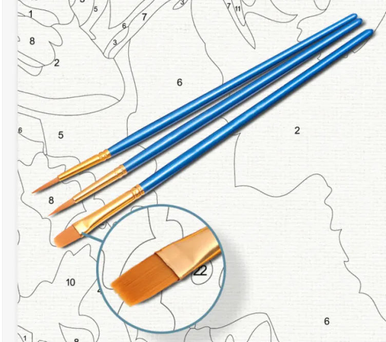 Painting By Numbers Kit